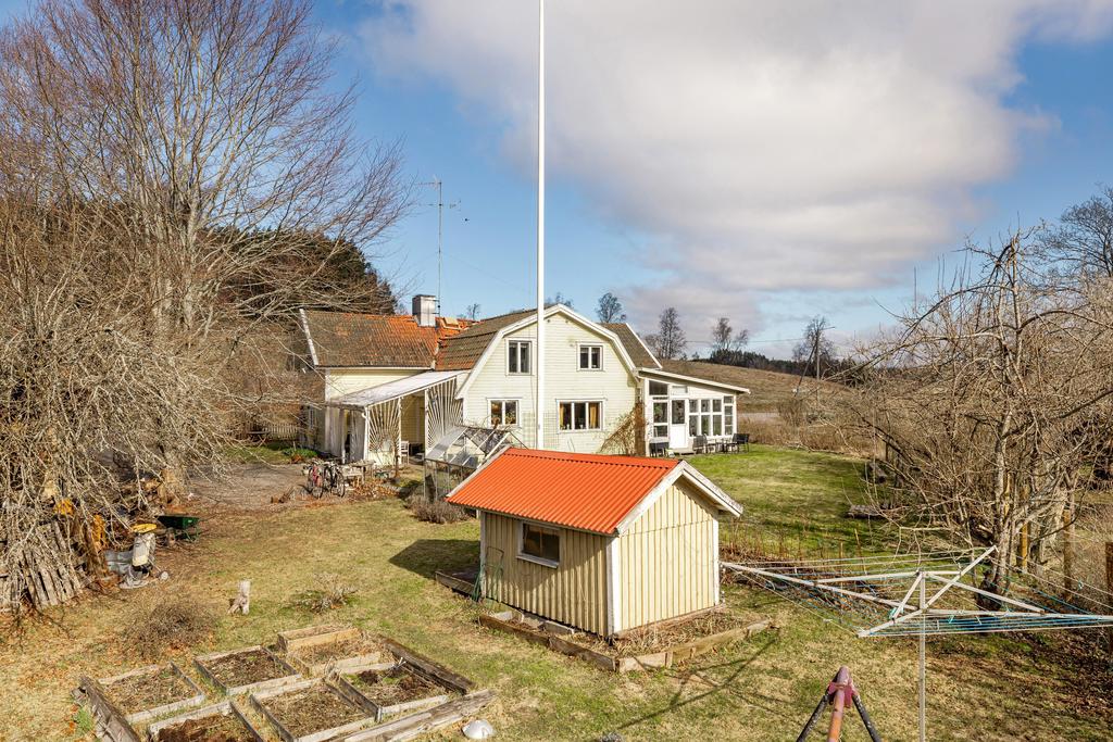 Trädgårdssida