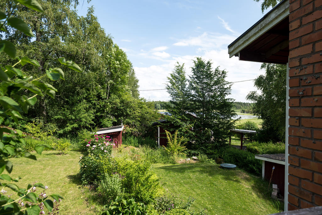 Trädgård.