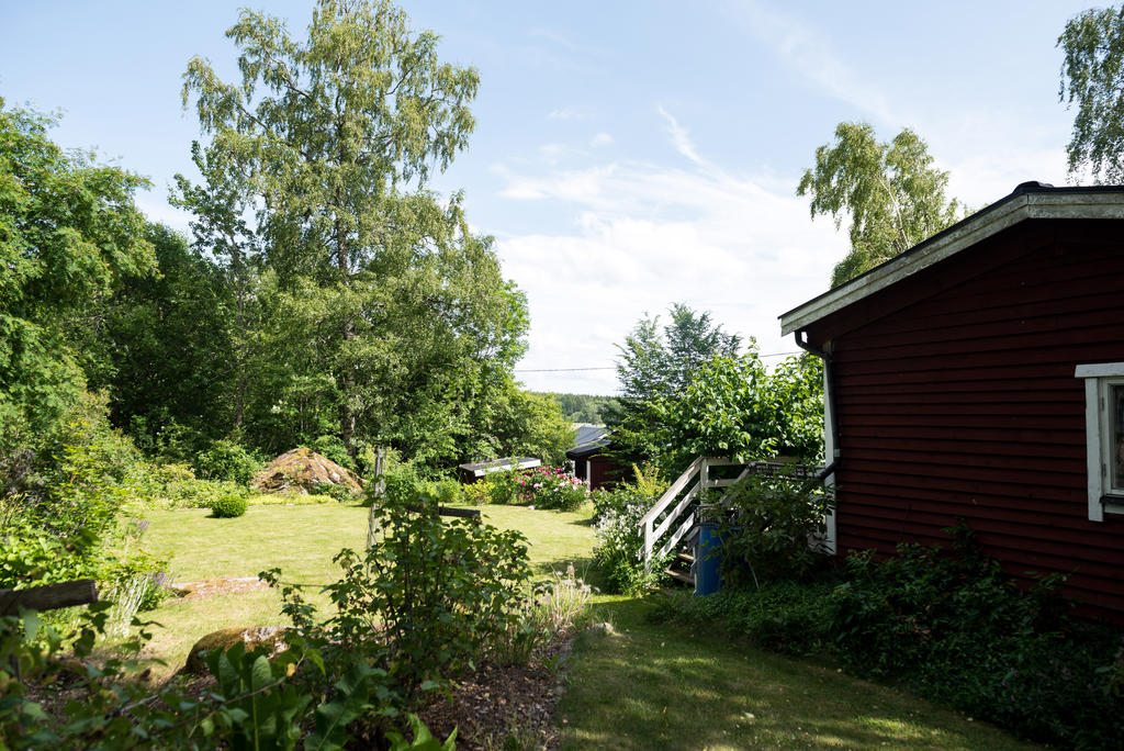 Trädgård.