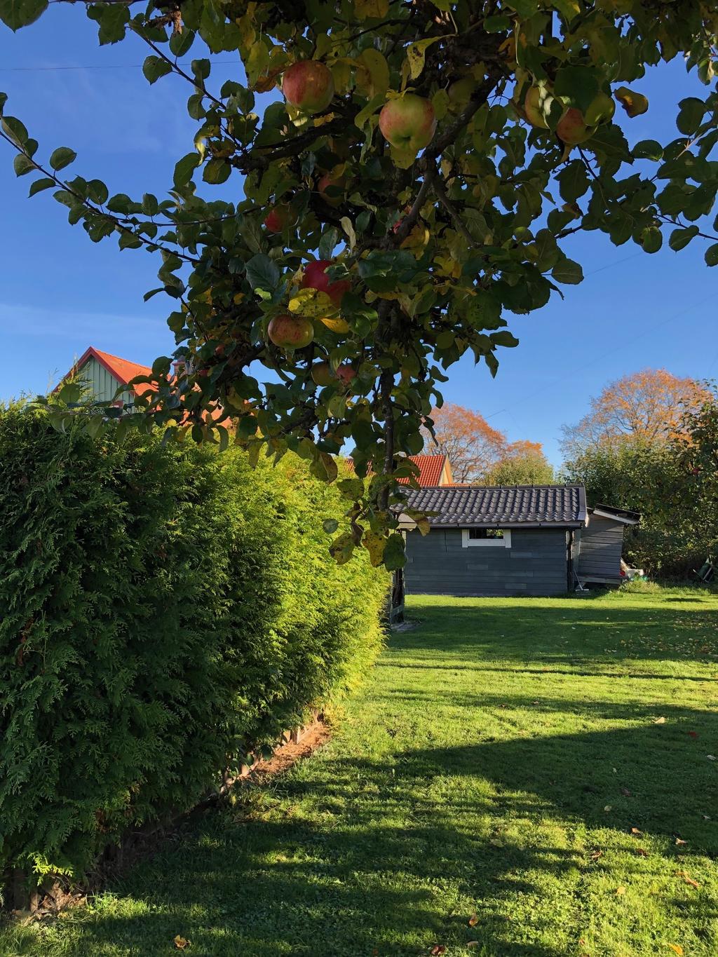 Säljarens privata sommarbild.