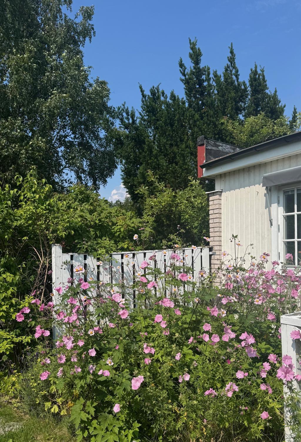 Trädgård (säljarens bild)