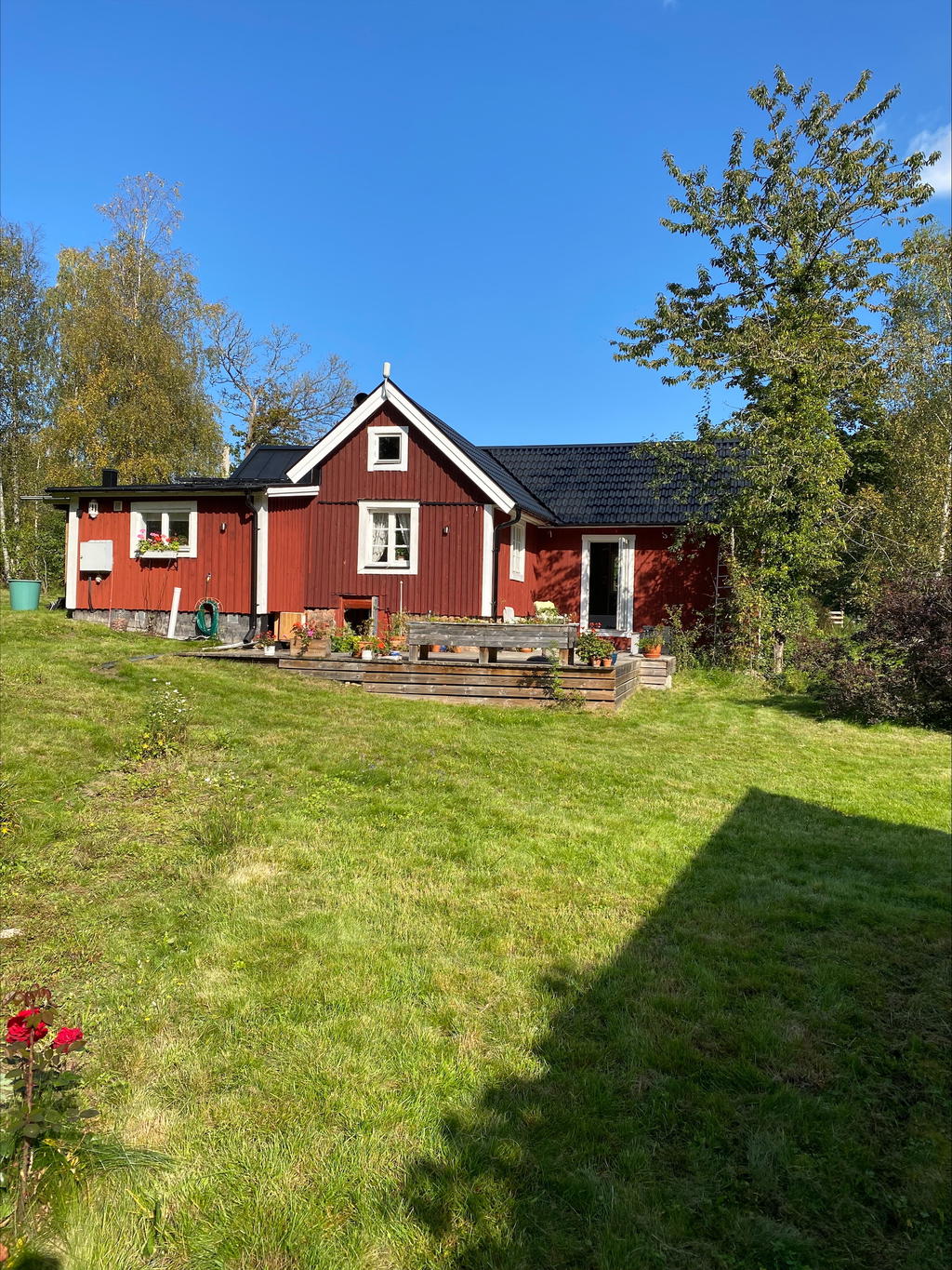 Från sommaren
