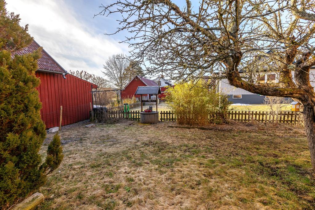 Baksida av tomten med egen brunn