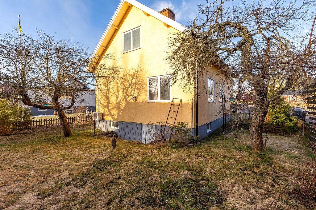 Trappa ner till källaren på baksidan av tomten