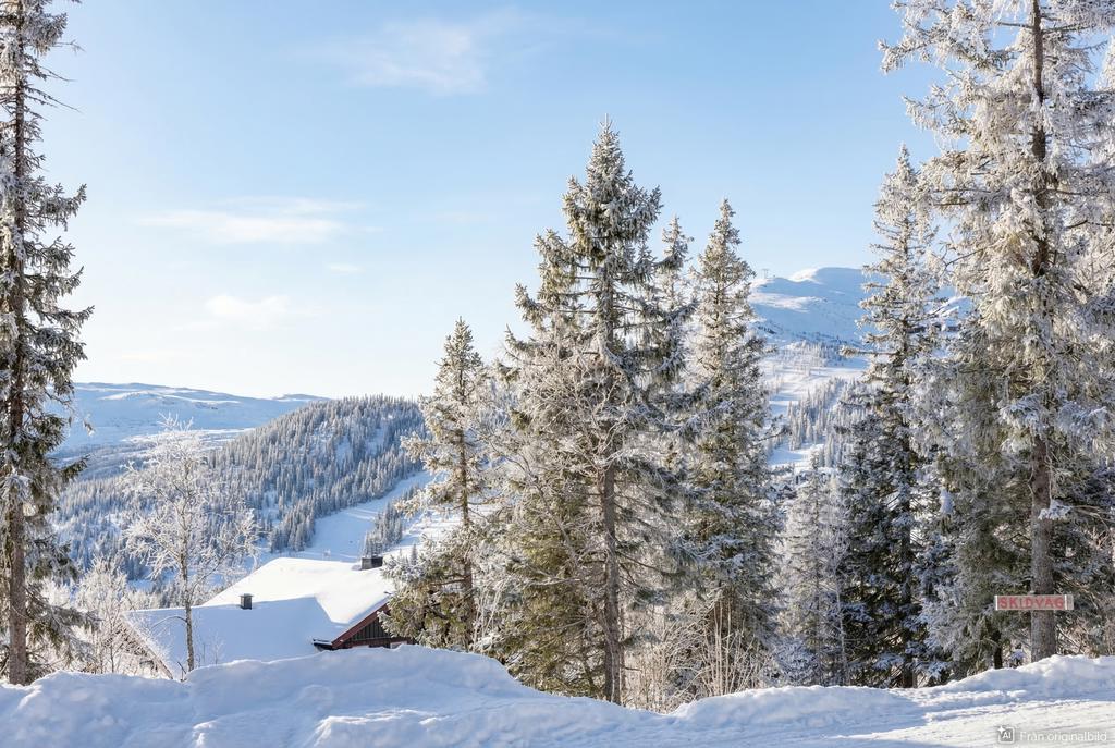 Just utanför bostaden kan man glida ner till skidåkningen i Björnen. 
Visualisering: Digital vinterredigering
