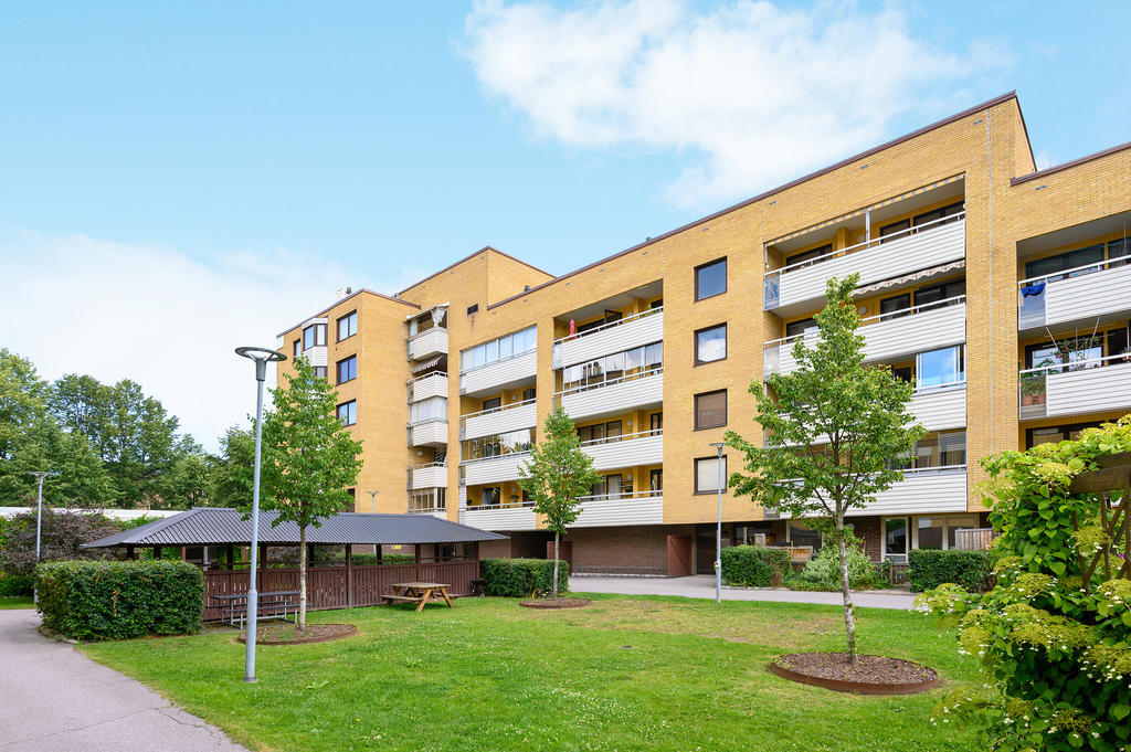 2025-07-28 Föreningens innergård Tredje Tvärgatan 24