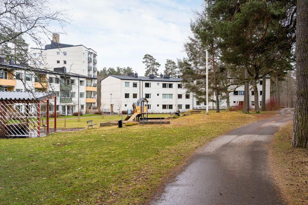 Trevliga omgivningar 