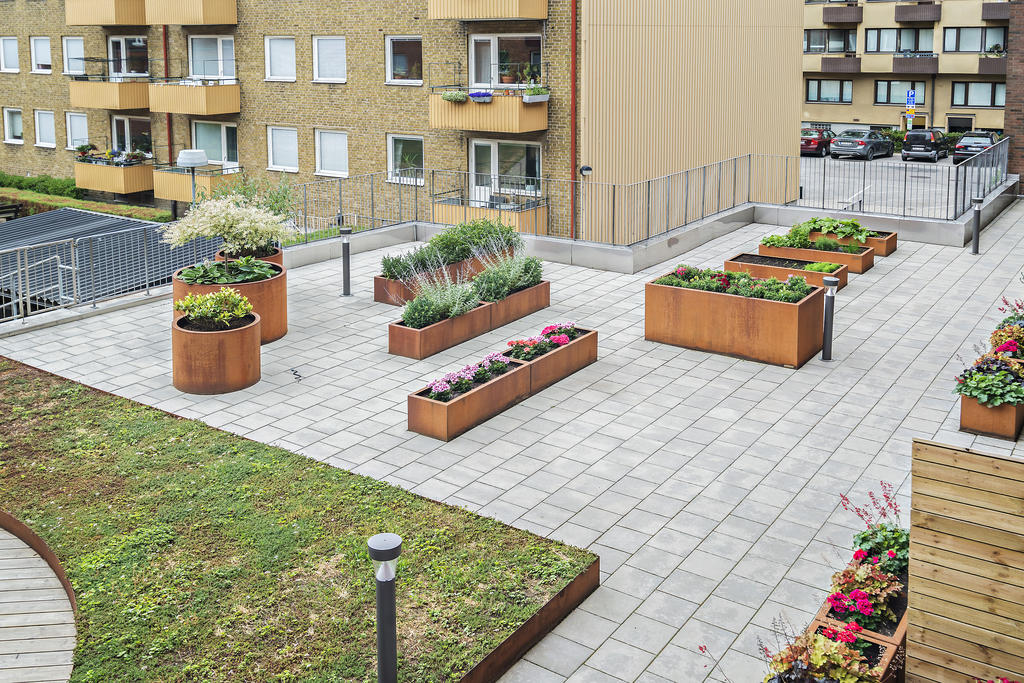 Sommarbild på de gemensamma planteringarna