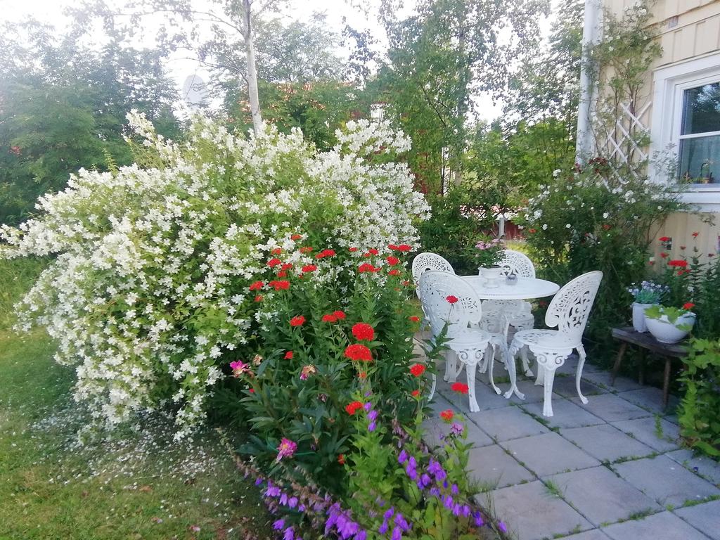 Uteplats på entrésidan med kvällssol