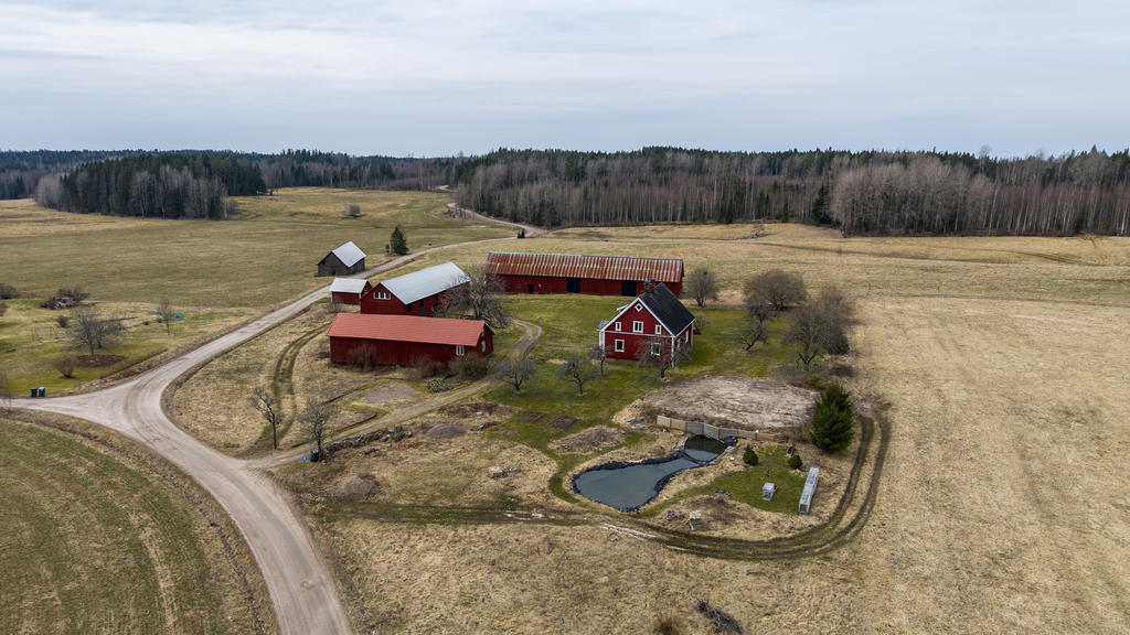 Härliga omgivningar