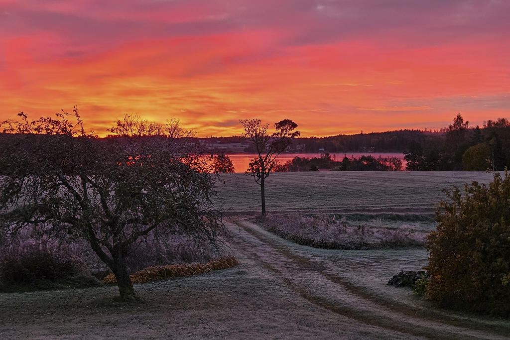 Säljarens egna bilder