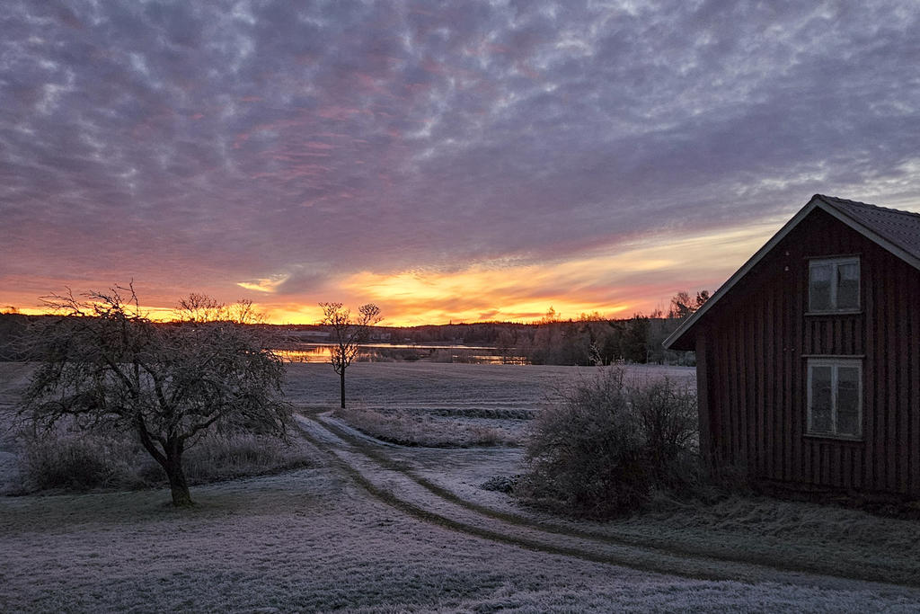Säljarens egna bilder