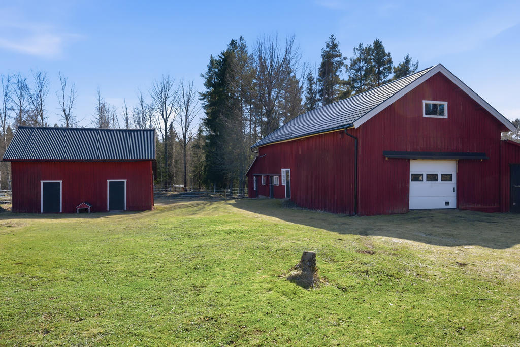Trädgård