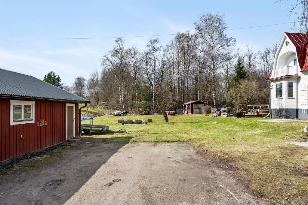 Trädgård