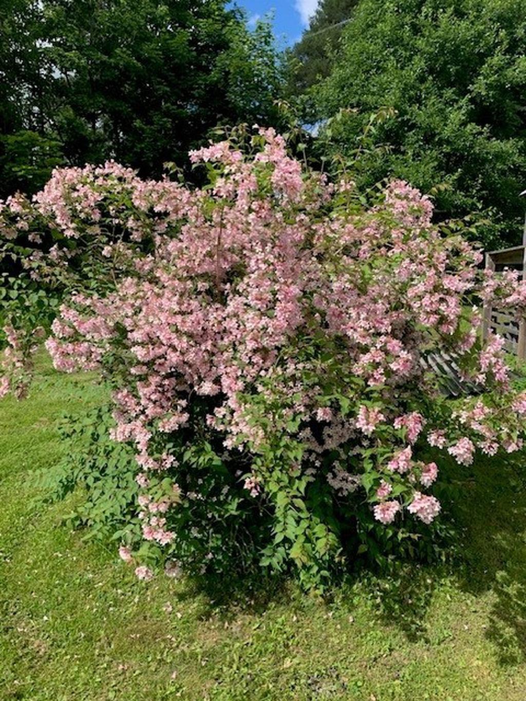 Säljarens bild