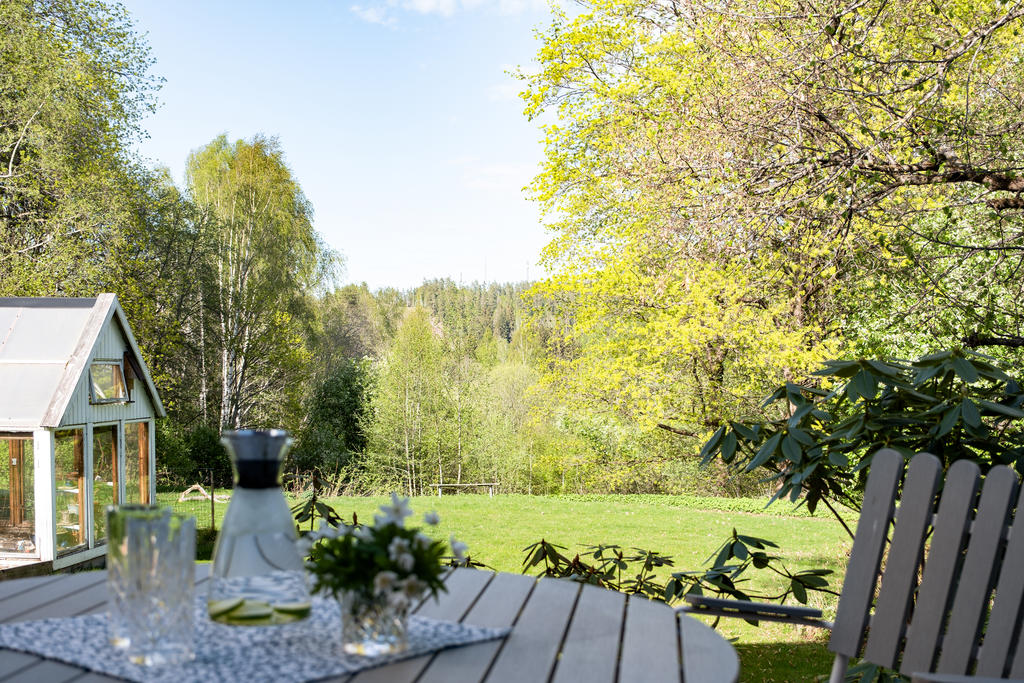Trädgård