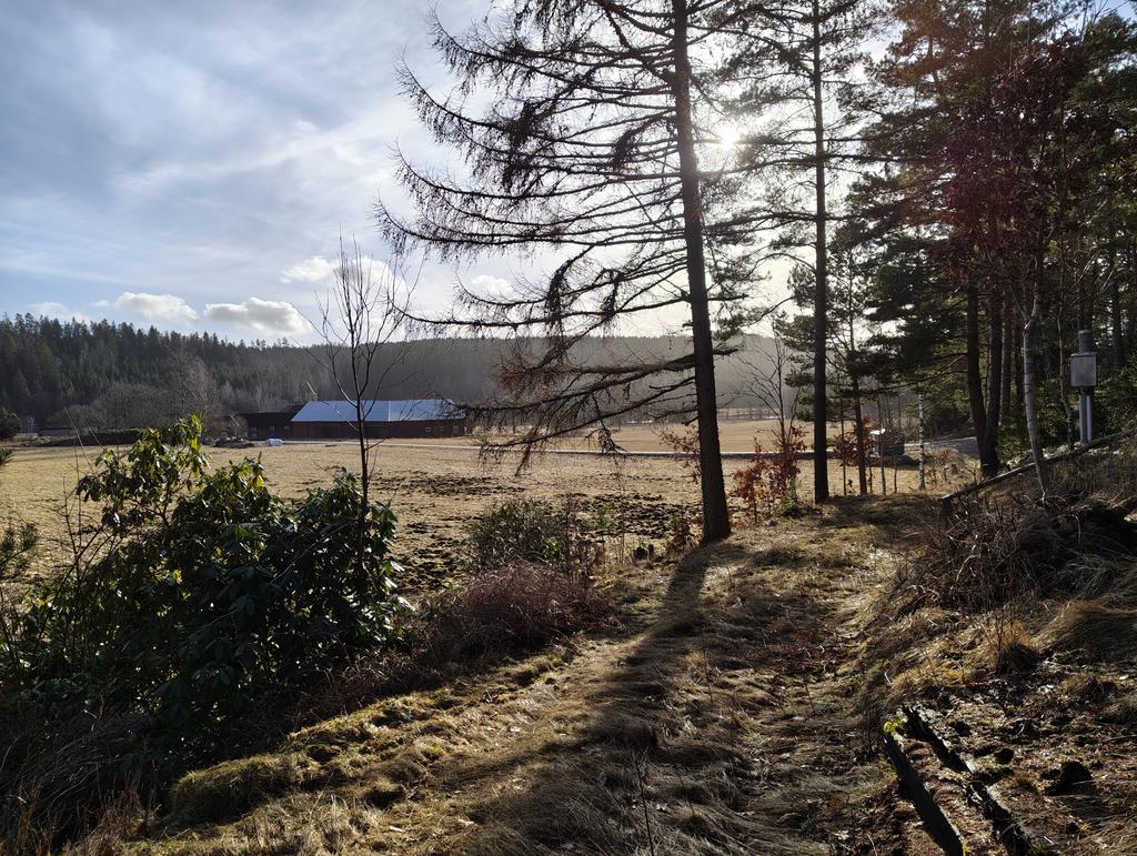 Utsikt åt sydväst. 