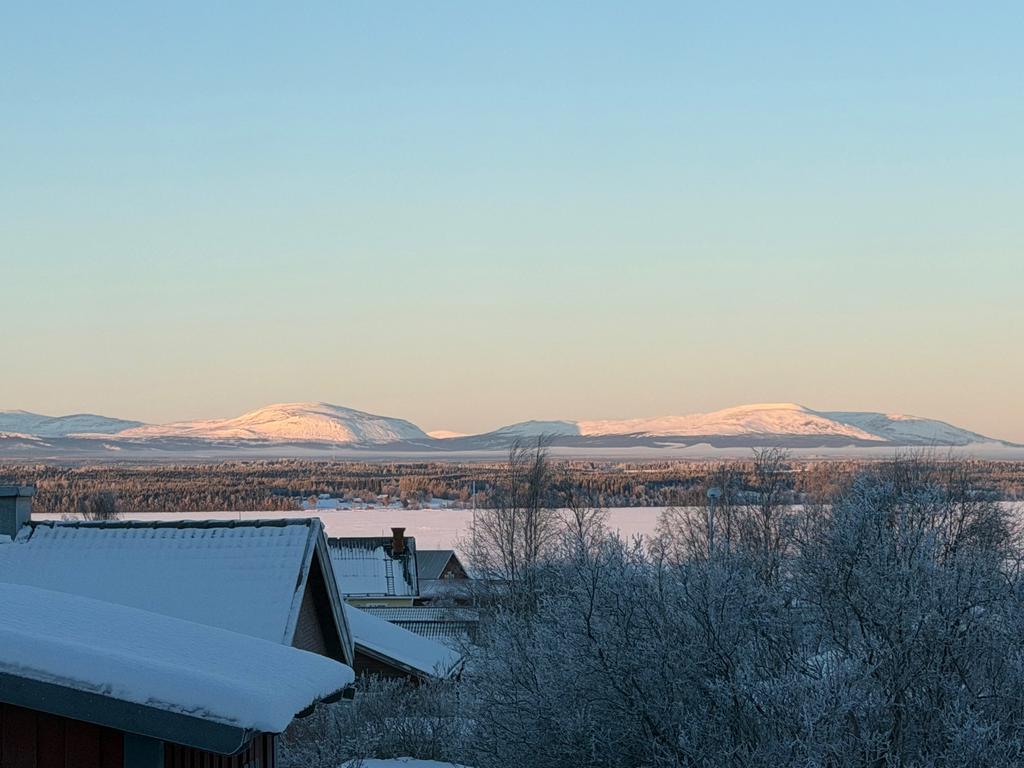 Säljarens egna bild