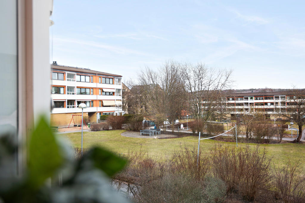Utsikt över den härliga gården