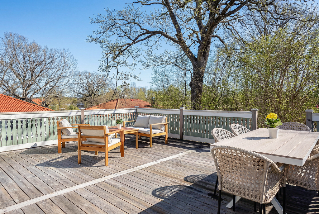 Solläge i skir vårgrönska