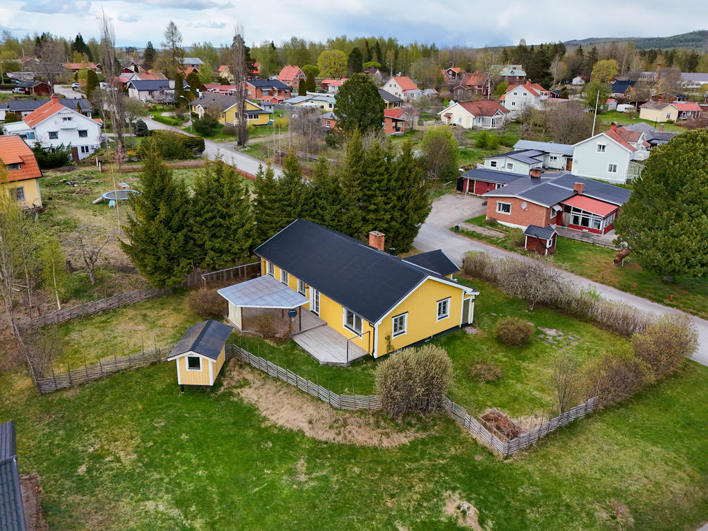 Vy över tomten.