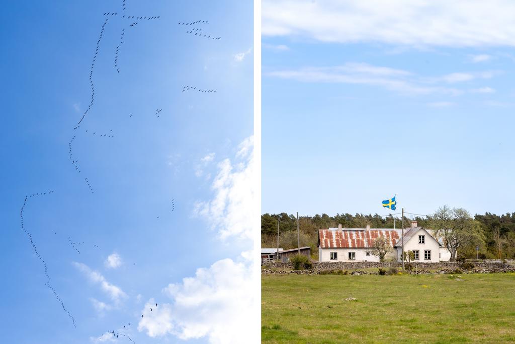 Gården