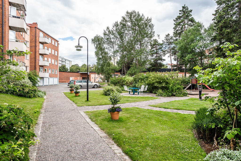 Föreningens innergård