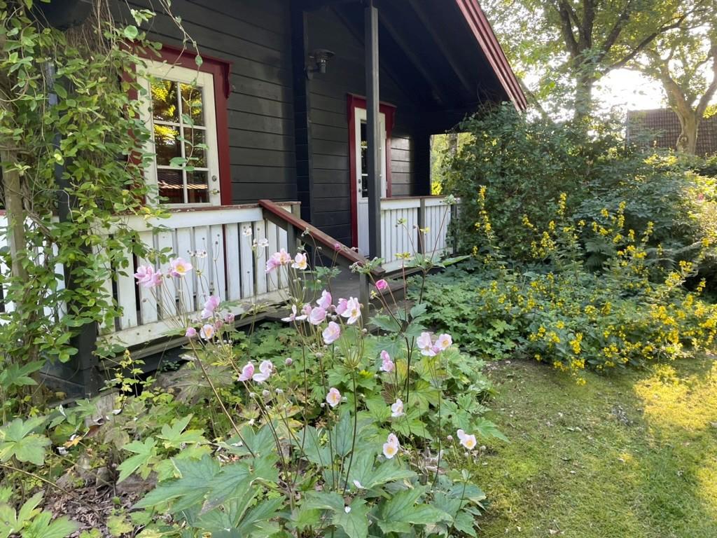 Säljarens egen sommarbild