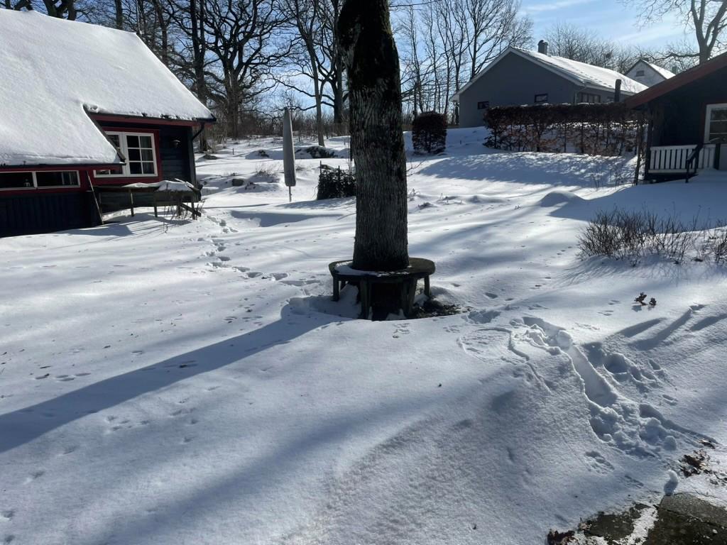 Säljarens egen vinterbild