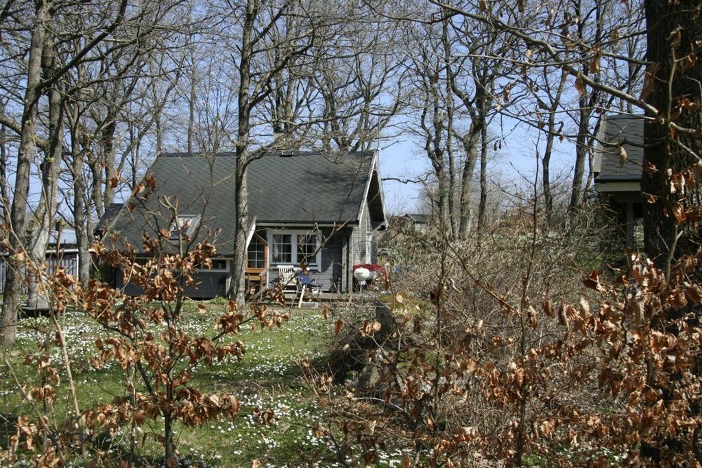 Säljarens egen vårbild