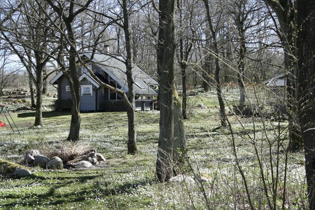 Säljarens egen vårbild