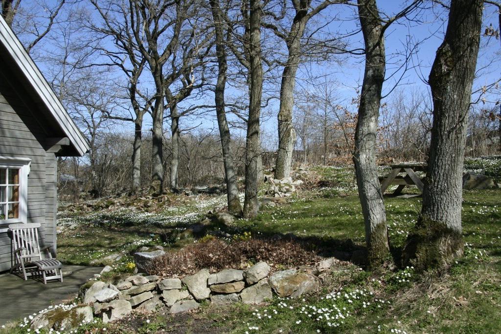 Säljarens egen vårbild