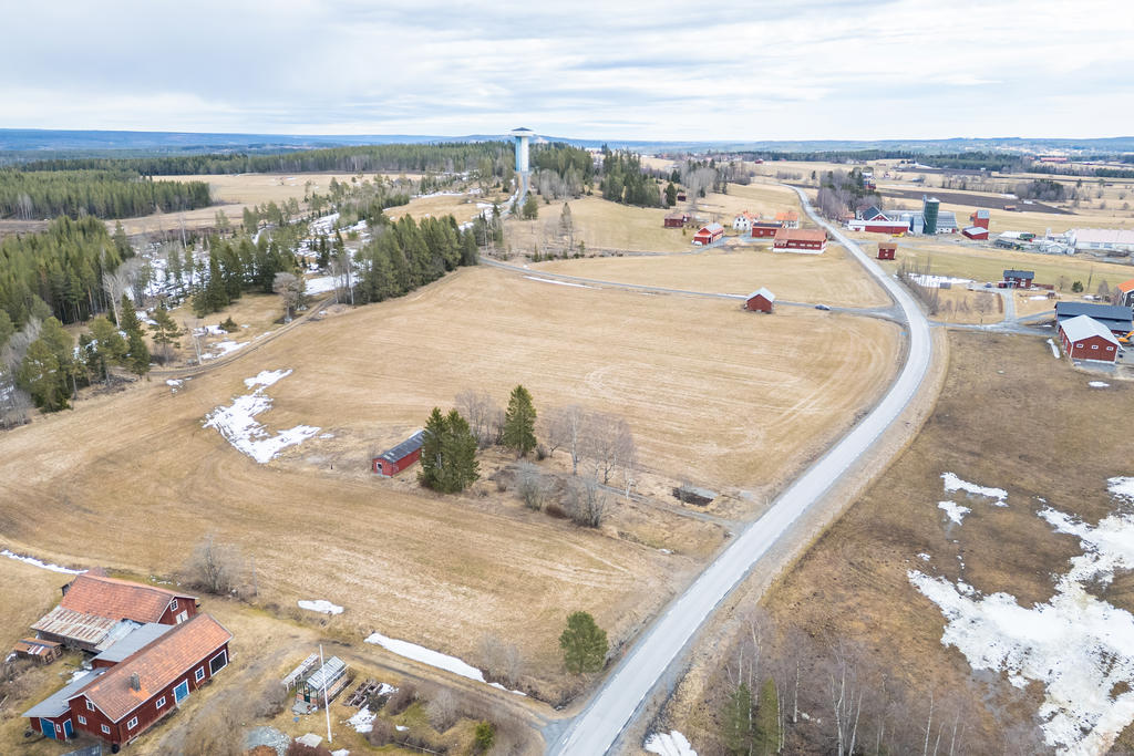 Uppfarten var tidigare en björkallé