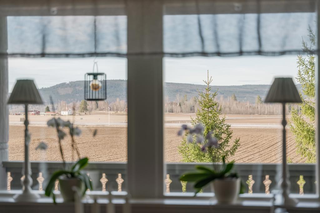 Utsikt från matplatsen