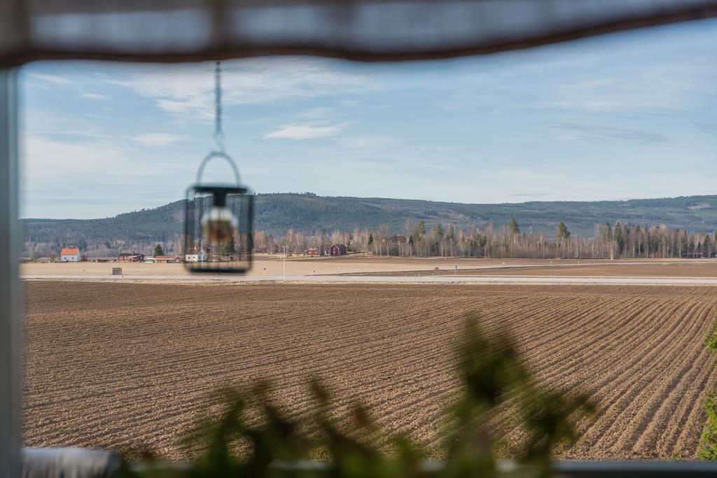Utsikt från vardagsrummet