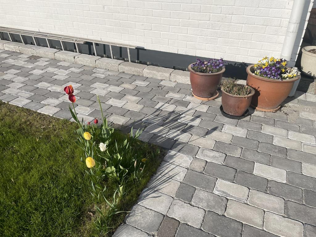 Säljarens sommarbild