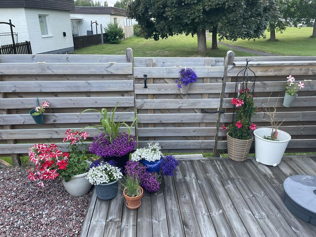 Säljarens sommarbild