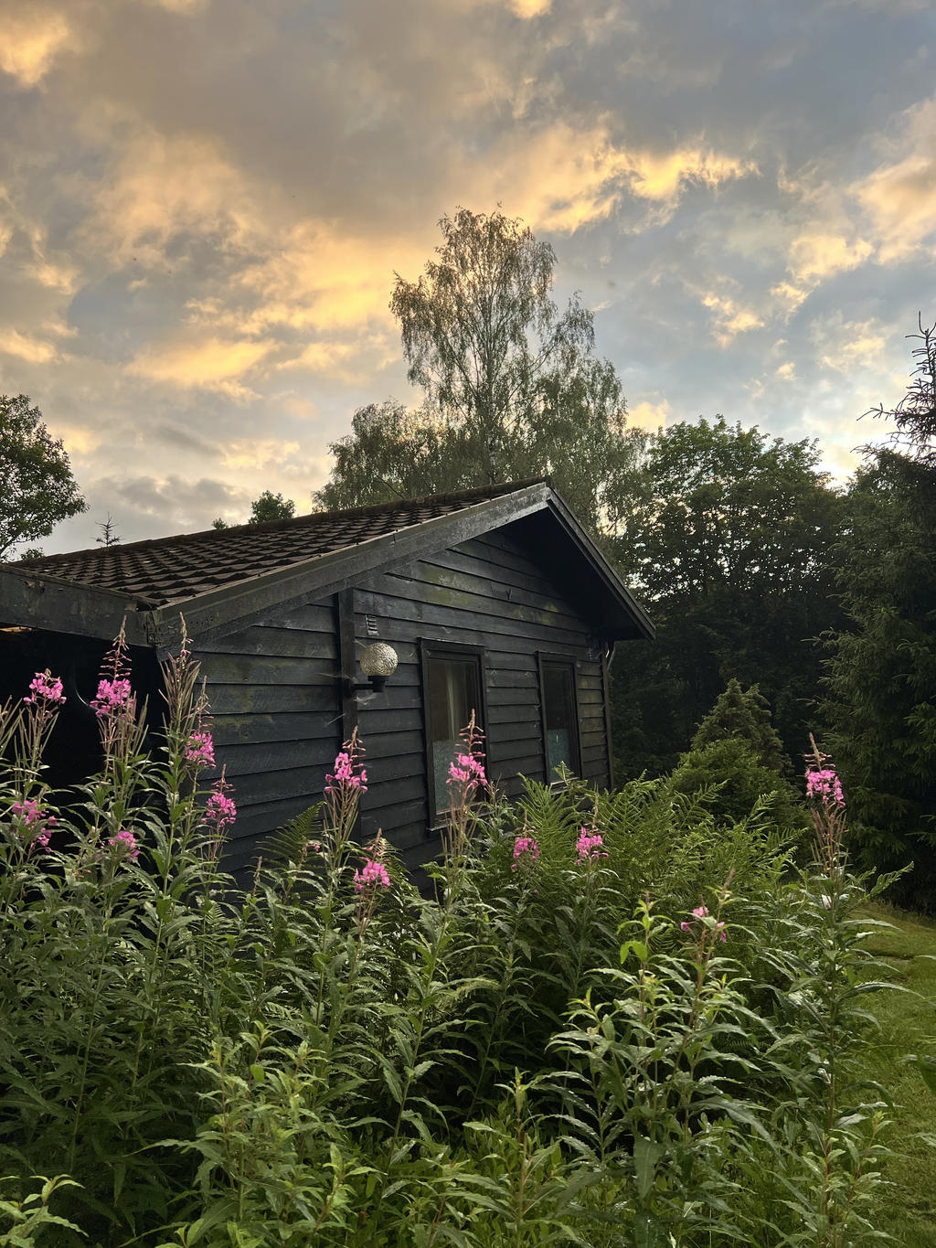 Säljarens sommarbilder