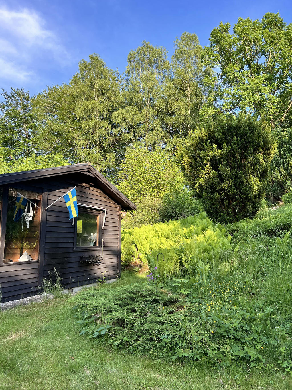 Säljarens sommarbilder