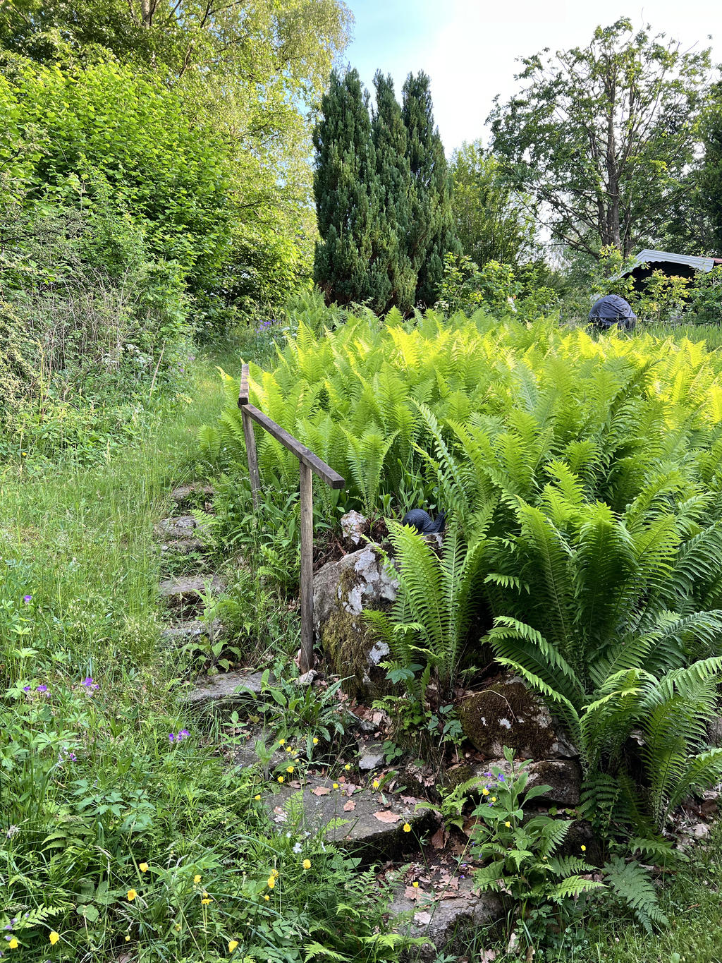 Säljarens sommarbilder - Detaljbild trädgård