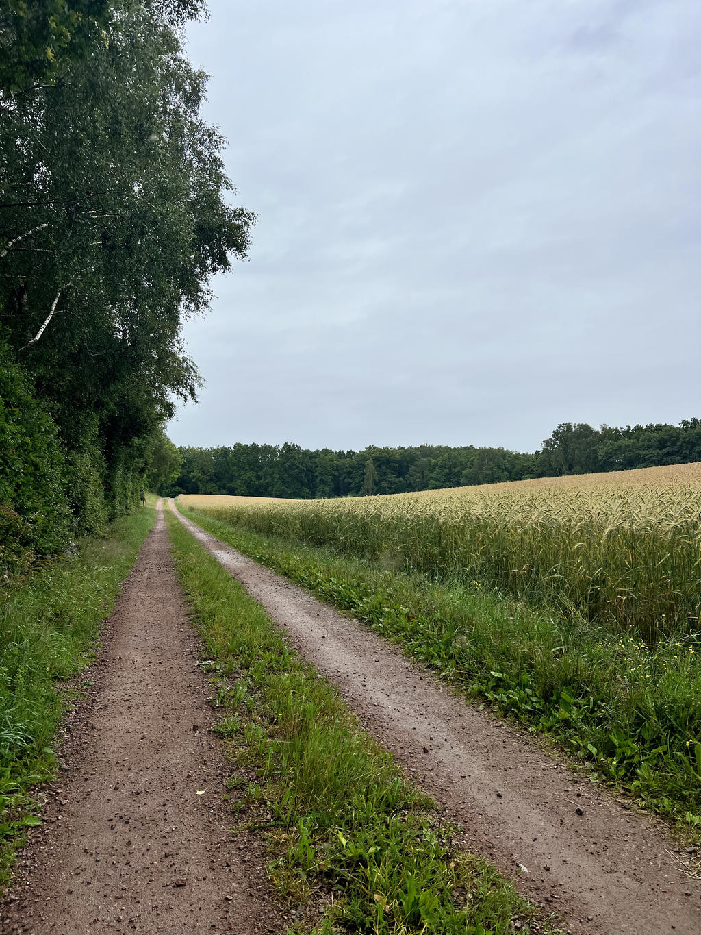 Säljarens sommarbilder - Vacker natur i omgivningarna