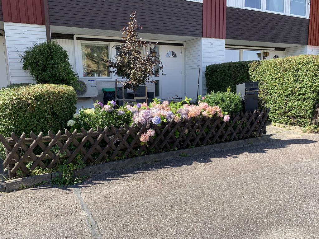 Sommarbild vid entrén