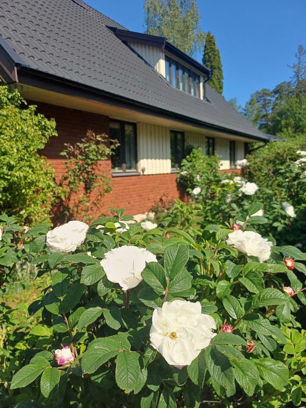 Säljarens sommarbild