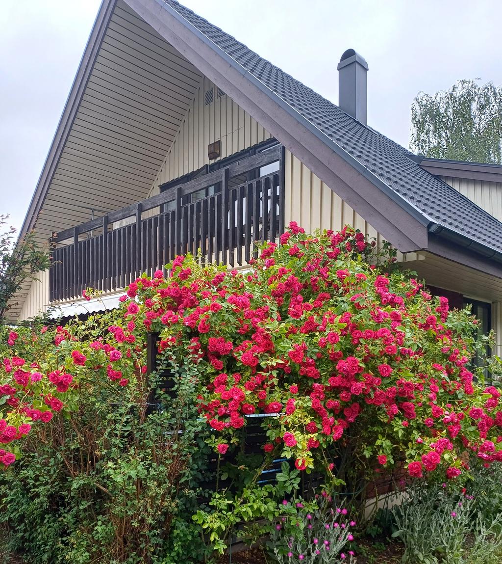 Säljarens sommarbild