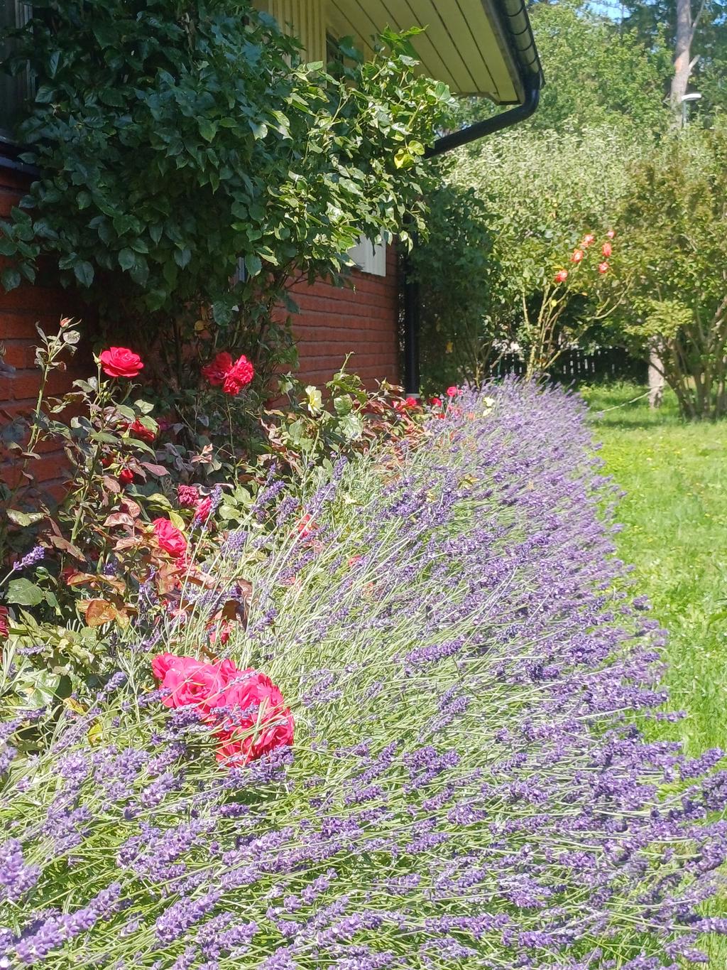 Säljarens sommarbild