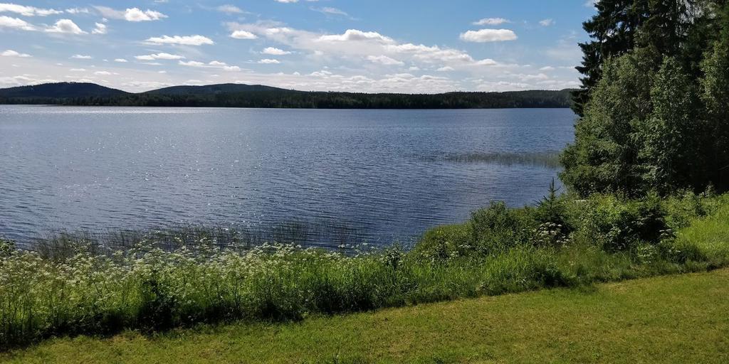 Hålla 161 i sommarskrud, utsikt från altanen. 