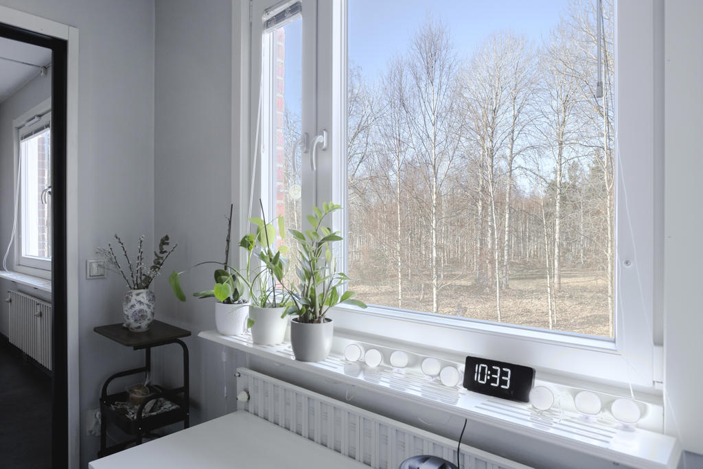 Härlig utsikt från köket