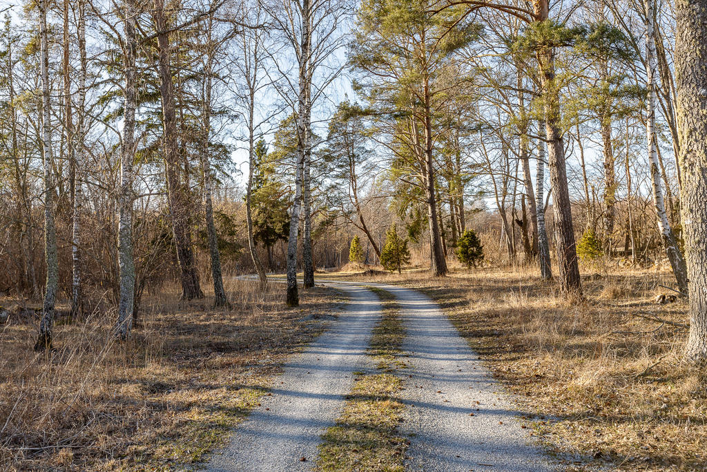 Slingrande vägar till stugan