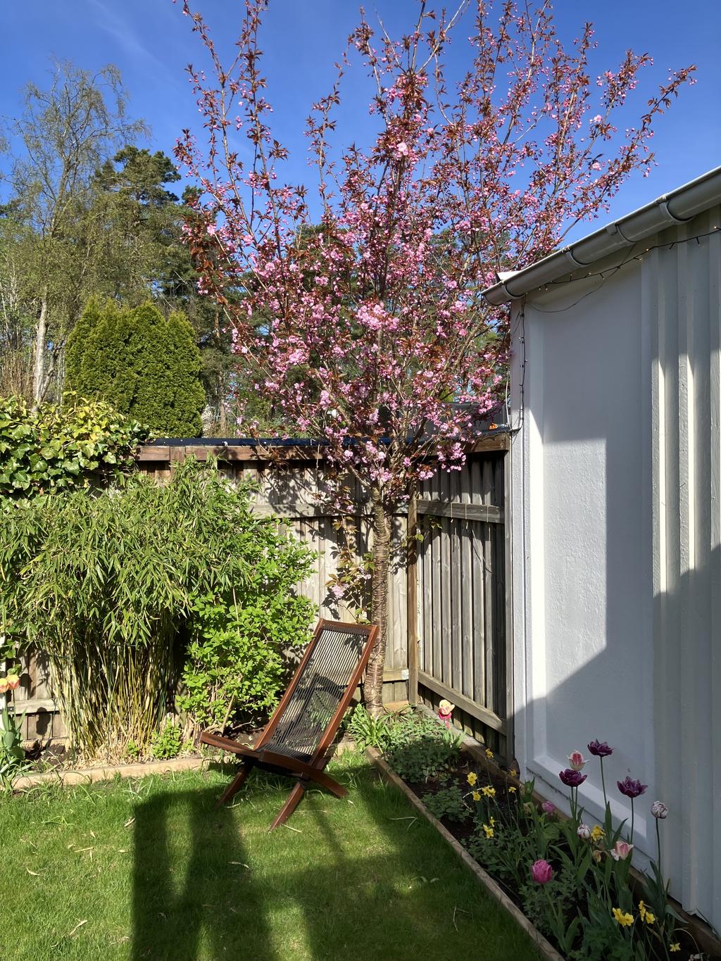 Säljarens egna sommarbild