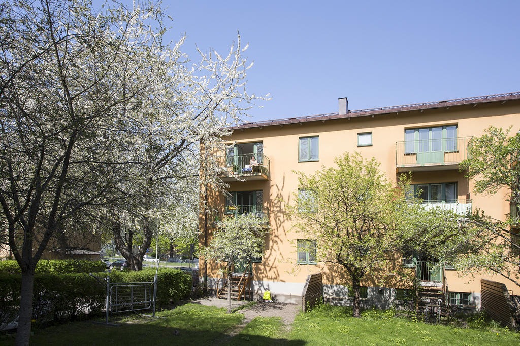 Bilder från föregående försäljning, tagna i början på maj